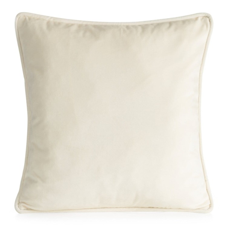 Poszewka Dekoracyjna 45x45cm Velvet 147A Eurofirany