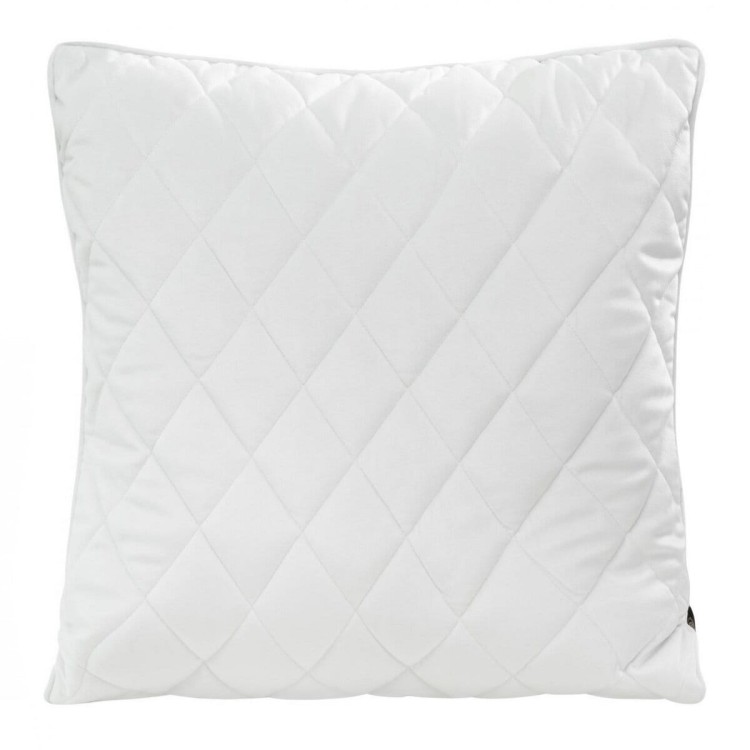 Poszewka Dekoracyjna 45x45cm Velvet 27G Eurofirany
