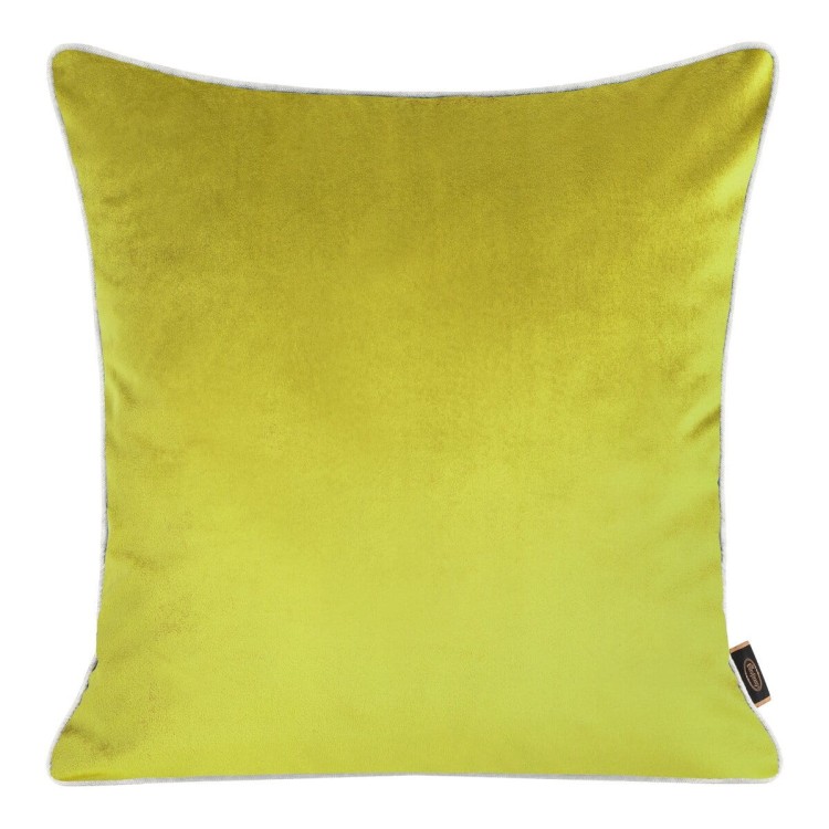 Poszewka Dekoracyjna 45x45cm Velvet 57G Eurofirany