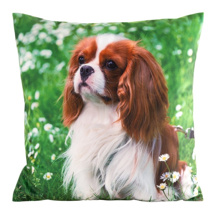 Poszewka Dekoracyjna 45x45cm Animal 74 Eurofirany