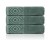 Ręcznik z Bordiurą 30x50cm 550g 100% Bawełna Paula Dark Mint Detexpol
