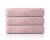 Ręcznik z Bordiurą 50x90cm 550g 100% Bawełna Paula Pink Detexpol