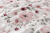 Pościel 160x200 + 2 Poszewki 100% Bawełna P1474 Harmony Collection Famitex