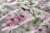 Pościel 160x200 + 2 Poszewki 100% Bawełna P1918 Harmony Collection Famitex