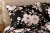 Pościel 140x200 + 2 Poszewki 100% Bawełna P1476 Harmony Collection Famitex