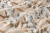 Pościel 160x200 + 2 Poszewki 50x70 100% Bawełna P1897 Harmony Collection Famitex