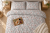 Pościel 160x200 + 2 Poszewki 100% Bawełna P1910 Harmony Collection Famitex