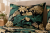 Pościel 160x200 + 2 Poszewki 50x70 100% Bawełna P1497 Harmony Collection Famitex