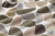 Pościel 150x200 + 2 Poszewki 50x60 100% Bawełna P1658 Harmony Collection Famitex