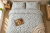 Pościel 150x200 + 2 Poszewki 50x60 100% Bawełna P1968 Harmony Collection Famitex