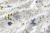 Pościel 160x200 + 2 Poszewki 100% Bawełna P2105 Harmony Collection Famitex