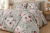 Pościel 160x200 + 2 Poszewki 50x70 100% Bawełna P1475 Harmony Collection Famitex